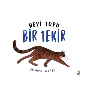 Hepi Topu Bir Tekir