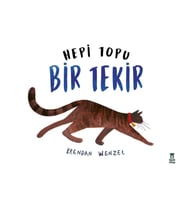 Hepi Topu Bir Tekir