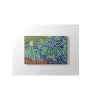 DBSanatevi Vincent Van Gogh - Irises Tablo 60 X 80 cm