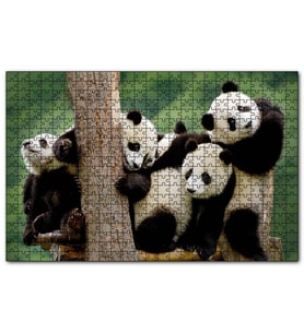 Cakapuzzle Dalda Oynayan Yavru Pandalar Puzzle Yapboz MDF (Ahşap) (120 Parça)