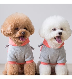Rainbow Köpek Sweatshirt Kapüşonlu Gökkuşağı Detaylı Köpek Kıyafeti Köpek Hoodie