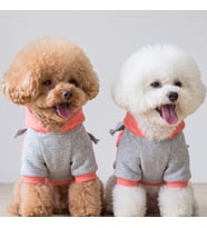 Rainbow Köpek Sweatshirt Kapüşonlu Gökkuşağı Detaylı Köpek Kıyafeti Köpek Hoodie