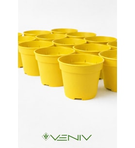 10 Adet Saksı Yetiştirme Çoğaltma Saksısı 8.5 cm