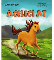 Aceleci At