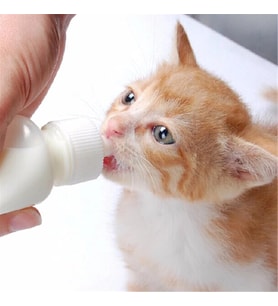 Yavru Kedi Köpek Biberonu 2 Emzikli 50 ml (1 Adet)