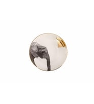 Porland Wild Life Elephant Kase 17 cm 04ALM006457