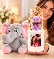 Kişiye Özel Fotoğraflı LED Fanuslu Ayıcık Buketi Peluş Fil Yıldönümü Hediyesi 30 cm 2