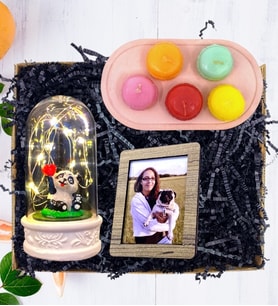 Kişiye Özel Fotoğraflı Hediye Seti / Pandalı Işıklı Fanus & Makaron Mum