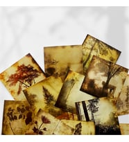 Issız Manzara Temalı – 50’li Pul Sticker Seti  Scrapbook & Journal Çıkartmaları (Çok Renkli)