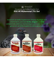Royal İlaç Güvercinler İçin 500 Ml Mükemmel Üçlü Set (Acidoral+Pigeorex+Pantonic)