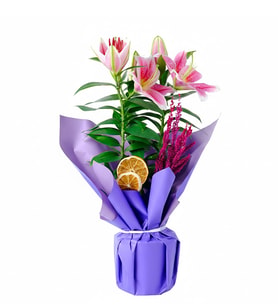 Mavi Buketli Saksıda Pembe Lilyum