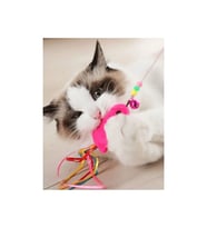 Pribor Kedi Balıklı Oyun Oltası 90 CM (Çok Renkli)