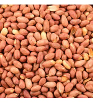 Fıstık İçi Sade  1 Kg