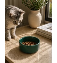 Kase Model Beton Kedi Köpek Mama ve Su Kabı (15cm çap × 5cm) - Yeşil