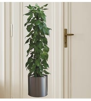 Saksılı Bitki Tasarımlı Yapışkanlı Sticker Resim 90*30 cm MC-665