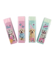 CEM STUDIO PETS PT-9627 RENKLİ SİLGİ SETİ