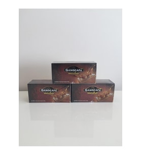 Ganocafe Mocha Ganodermalı Mantarlı Kahveli İçecek 3'lü Paket