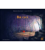 Bir Gece
