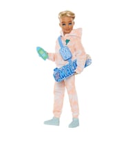 Barbie Dream Besties Ana Karakter Bebeği Ken JDD75