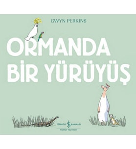 Ormanda Bir Yürüyüş
