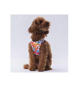 Pawstar Air Mesh Harness Göğüs Tasması A26 Mosaic XLarge