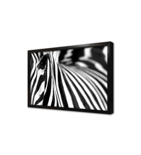 Yakın Çekim Zebra Çerçeveli Mdf Tablo