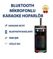 M839 Işıklı Bluetooth Karaoke, Kablosuz Mikrofonlu Taşınabilir Parti Hoparlörü