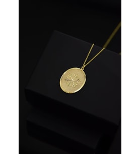 925 Ayar Gümüş Gold Kaplama Kar Tanesi Plaka Kolye
