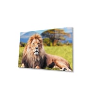 Aslan Cam Tablo 4mm Dayanıklı Temperli Cam (Çok Renkli)