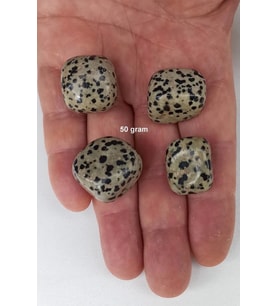 Dalmaçyalı Jasper 50 Gram Tamburlu Parçalar 225