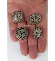 Dalmaçyalı Jasper 50 Gram Tamburlu Parçalar 225