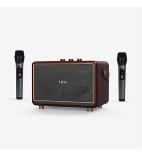 M407 Premium Çift Mikrofonlu 50W Retro Bluetooth Radyo Hoparlör (Kahverengi)