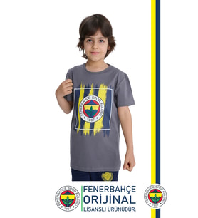 Fenerbahçe Orijinal Renkli Logo Polo Yaka Çocuk T-Shirt (Gri)