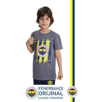 Fenerbahçe Orijinal Renkli Logo Polo Yaka Çocuk T-Shirt (Gri)