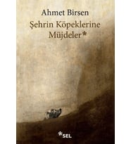 Şehrin Köpeklerine Müjdeler