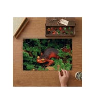 Kızıl Zehirli Kurbağa Tasarımı 240 parça Ahşap Puzzle Ahşap Kutuda MP06153