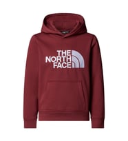 The North Face TEEN DREW PEAK PULLOVER HOODIE Çocuk Sweatshirt  NF0A8EHH0VO1 (Çok Renkli)