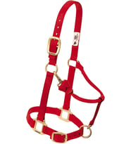 Weaver Leather Atlar için yular, naylon, ayarlanabilir, 2,5 cm, beden L, kırmızı