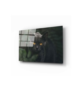 Miyrem Glasses Collection -A1^#  Siyah Kedi Cam Tablo (Çok Renkli)