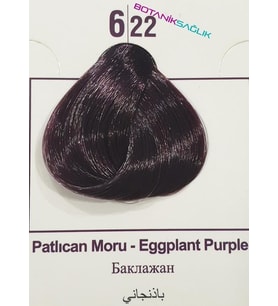 Colorx Saç Boyası Tekli Set - 6.22 PATLICAN MORU