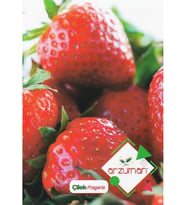 Çilek Tohumu Fragaria 100 Adet