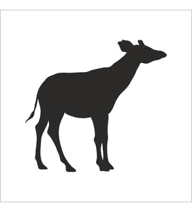GEYİK FOLYO STİCKER 200cm Uzunluk (Karışık)