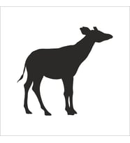 GEYİK FOLYO STİCKER 200cm Uzunluk (Karışık)