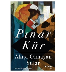 Akışı Olmayan Sular