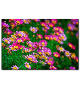 Cakapuzzle Pembe Ve Lila Papatyalar  Puzzle Yapboz MDF (Ahşap) (120 Parça)