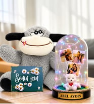 Kişiye Özel Yazılı 3 Fotoğraflı Renkli LED Işıklı Fanus(beyaz ayıcıklı) ve Şaşkın Peluş Eşek