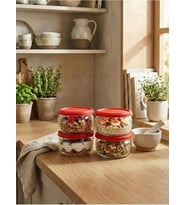 Set Kapaklı Cam Saklama Kabı, Kırmızı, 415 ML