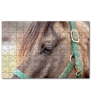 Cakapuzzle Yeşil Koşumlu Kahverengi At Yakın Çekim Puzzle Yapboz MDF (Ahşap) (120 Parça)