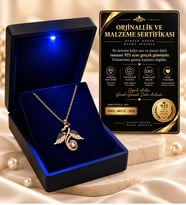 Premium Işıklı Kutuda 925 Ayar Gümüş Rose Sevgi Meleği 100 Dilde Seni Seviyorum Kolye