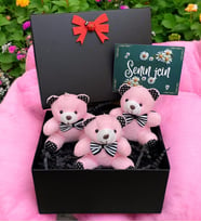 Hediye Kutusunda Peluş Ayıcıklar, Pembe Peluş Ayıcıklar Buketi, Siyah Kutuda Ayıcıklar